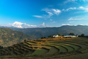 Spring in Nepal- Must Visit Places and Travel Tips